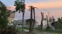 791e72b8d9ef76571e9fe7vdw-236606.jpeg